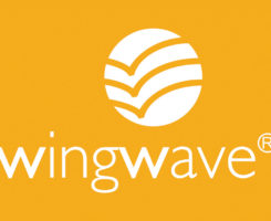 Быть устойчивым к переменам с методом wing wave