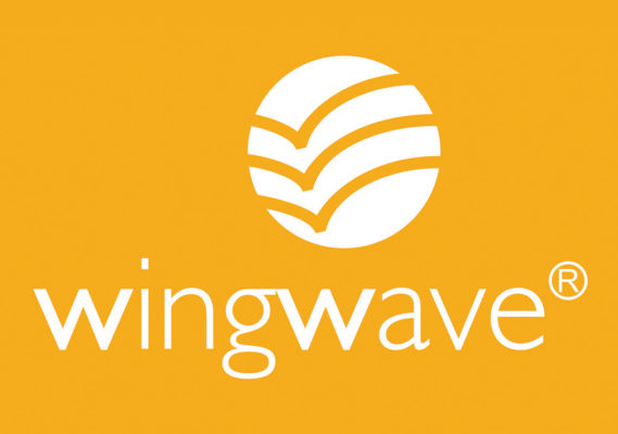 Быть устойчивым к переменам с методом wing wave